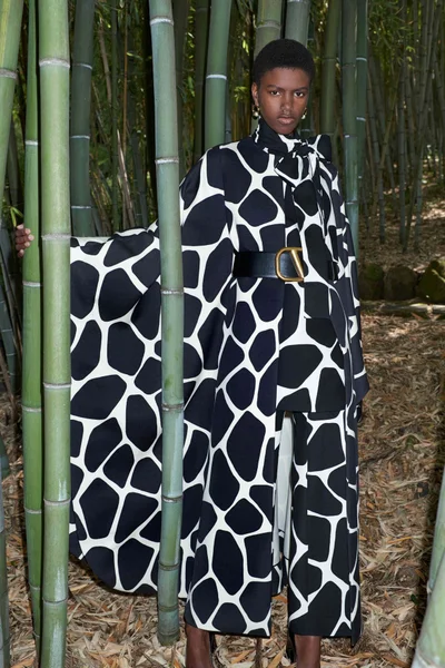Look 6